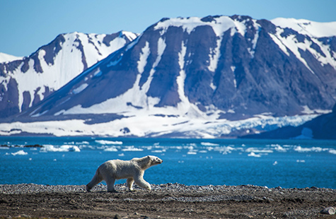 Réchauffement climatique