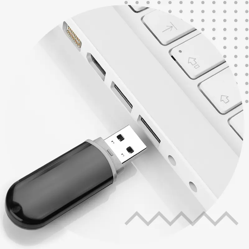 Formats de fichiers et supports numériques